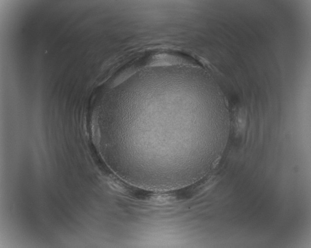 X0000067460619200604071130