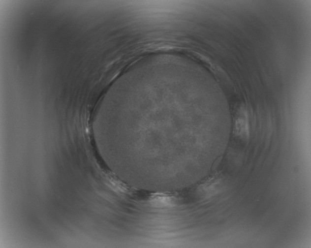 X0000067460620200604071130