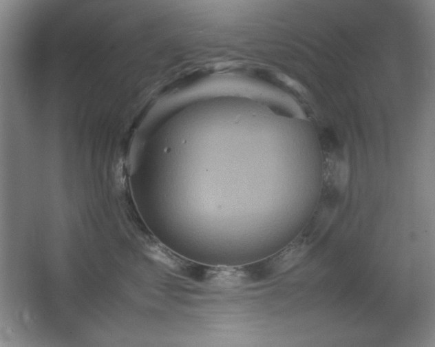 X0000067460621200604071130