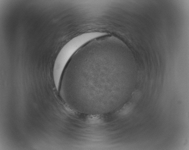 X0000067460624200604071130