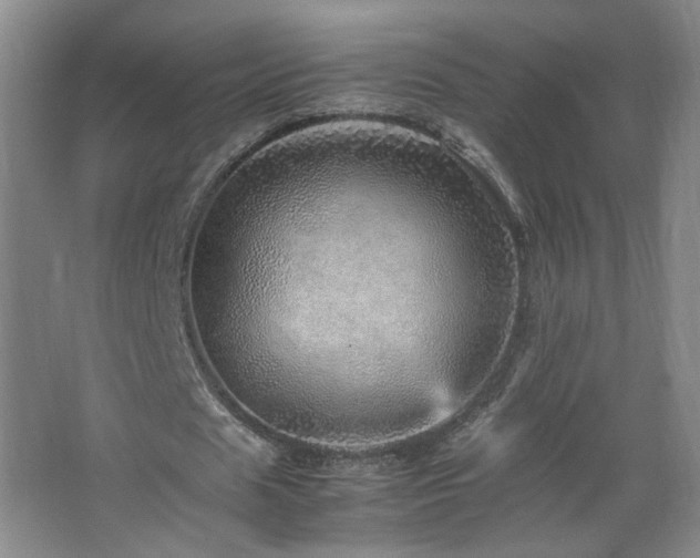 X0000067460625200604071129