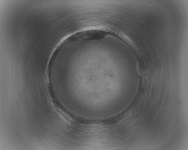 X0000067460628200604071129