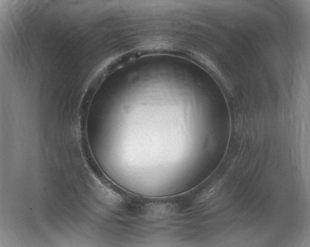 X0000067460629200604071129