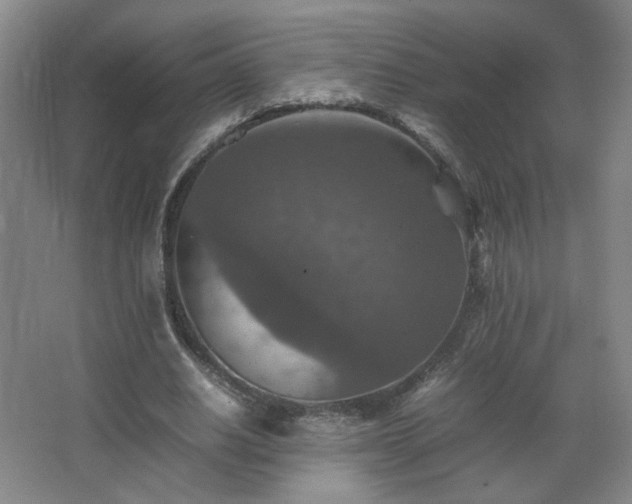 X0000067460630200604071129