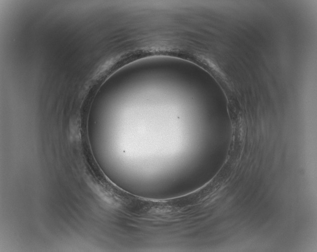 X0000067460631200604071129