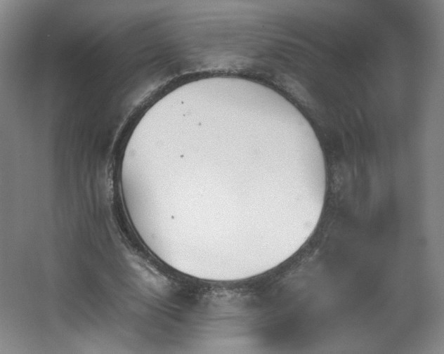 X0000067460632200604071129