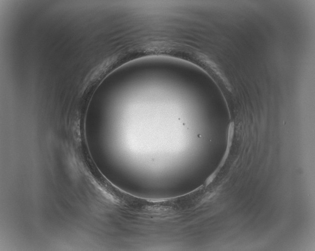 X0000067460633200604071129