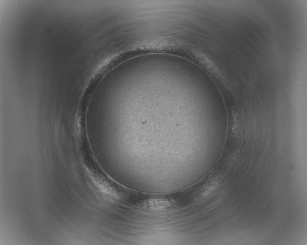 X0000067460636200604071129