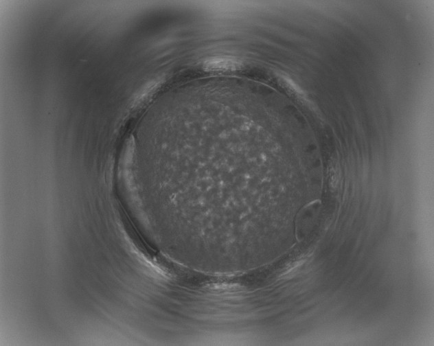 X0000067460637200604071129