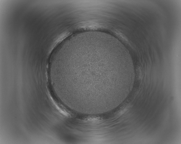 X0000067460638200604071129