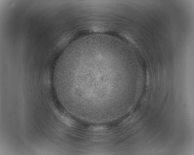 X0000067460639200604071129