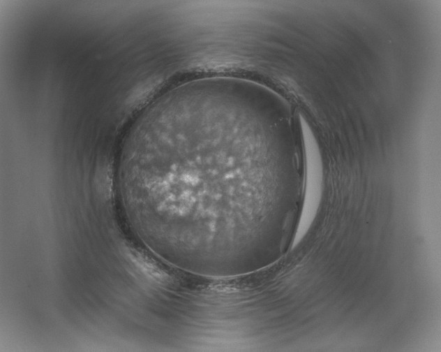 X0000067460640200604071129