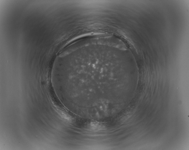 X0000067460641200604071129