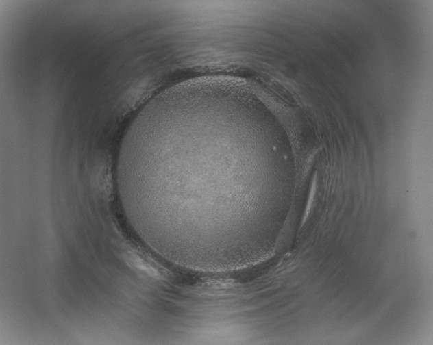 X0000067460642200604071129