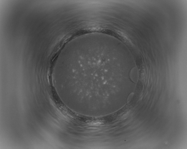 X0000067460643200604071129