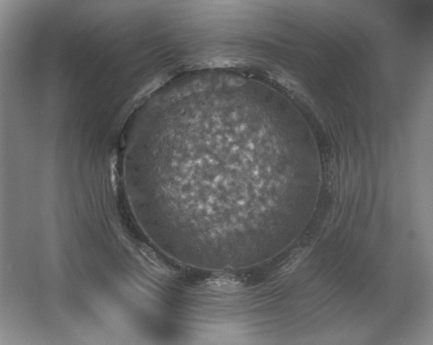 X0000067460644200604071129