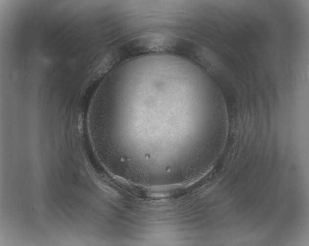 X0000067460646200604071129