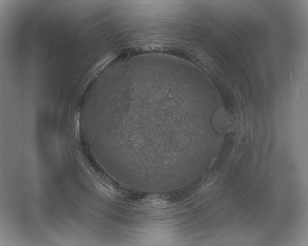 X0000067460648200604071129