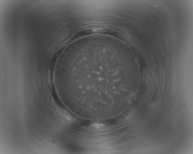 X0000067460650200604071129