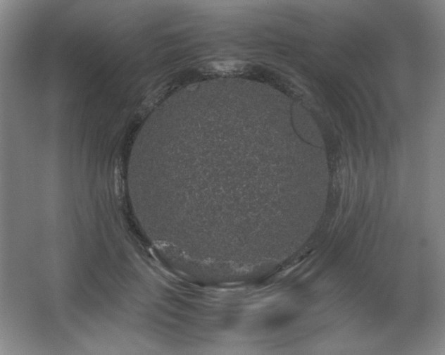 X0000067460651200604071129