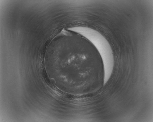 X0000067460653200604071129