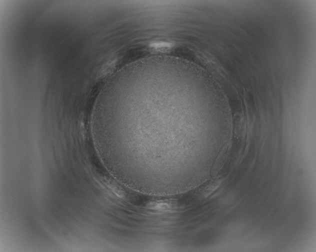 X0000067460655200604071129