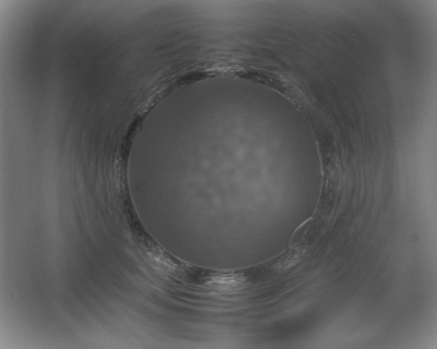 X0000067460659200604071129