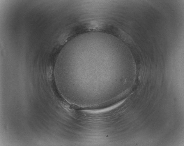 X0000067460660200604071129