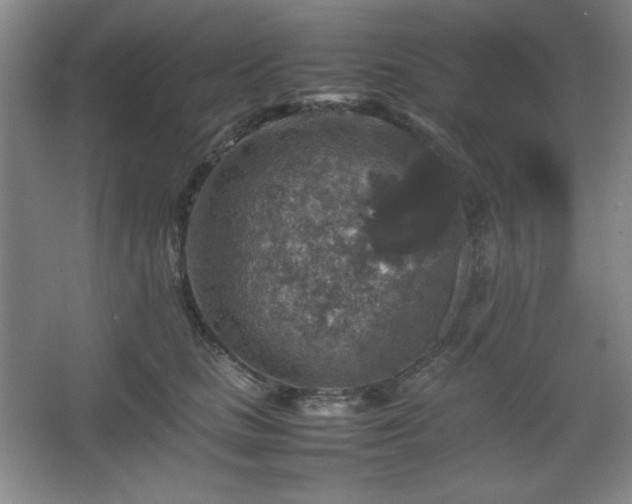 X0000067460661200604071129