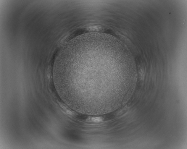 X0000067460665200604071129