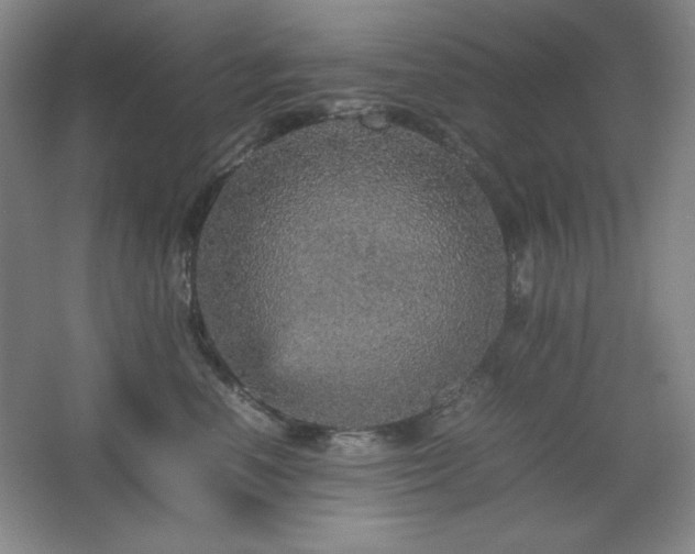 X0000067460666200604071129