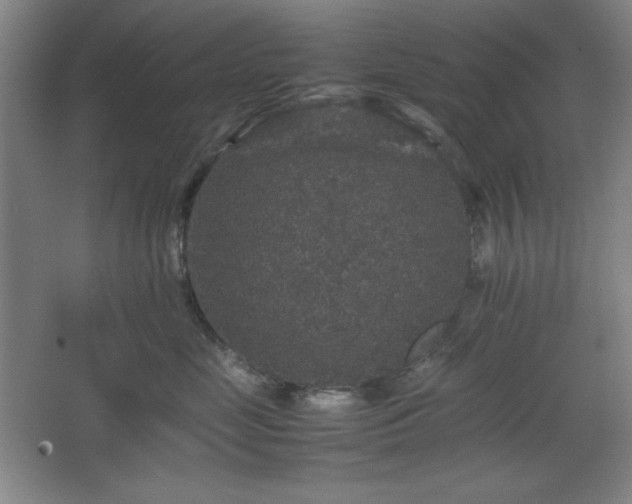 X0000067460669200604071129