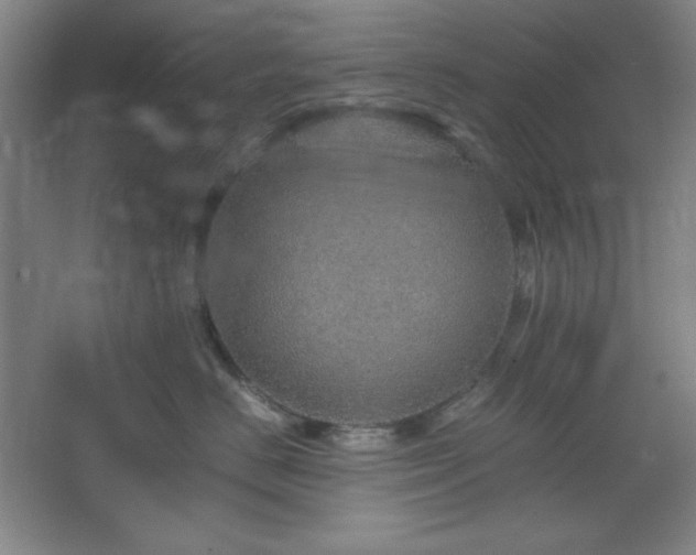 X0000067460670200604071129