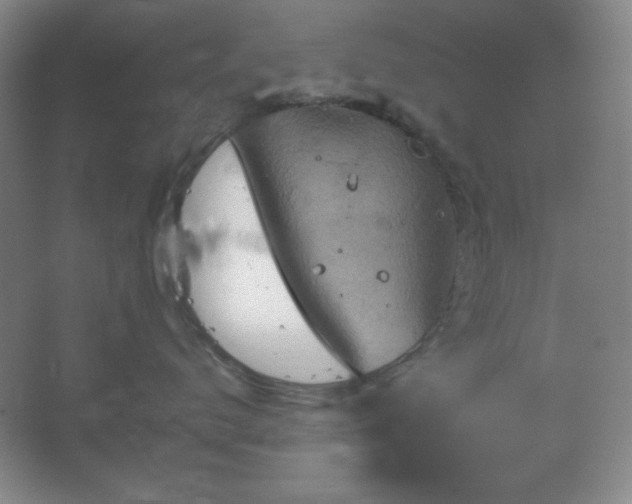 X0000067460672200604071130