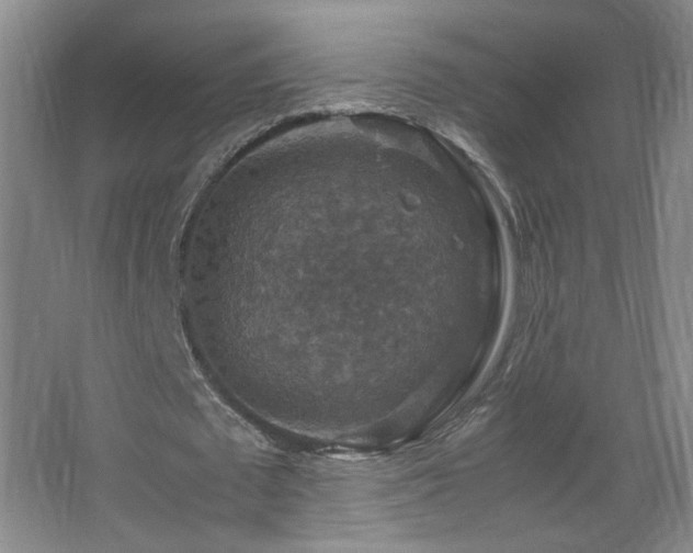 X0000067460673200604071129