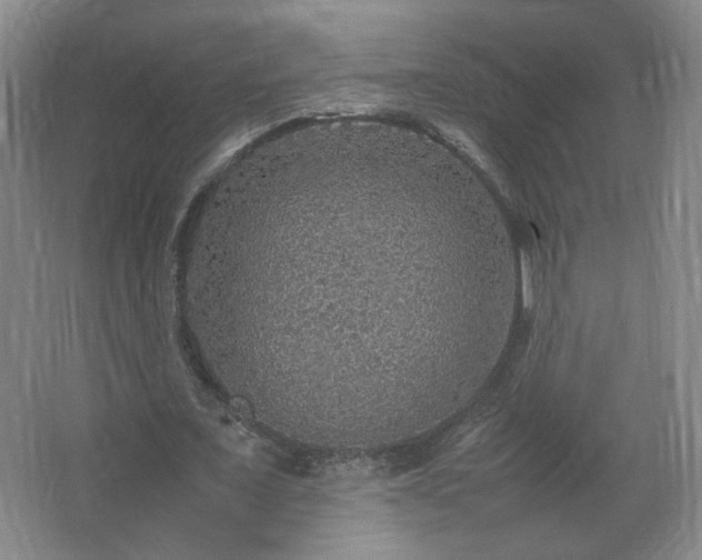 X0000067460675200604071129