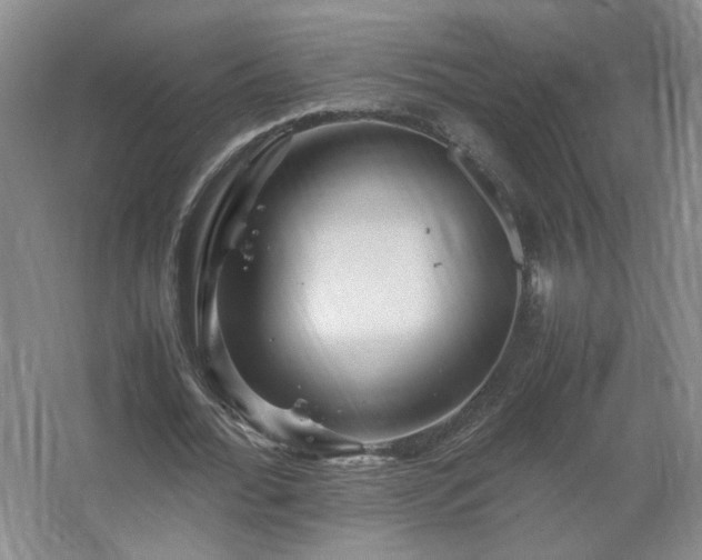 X0000067460676200604071129