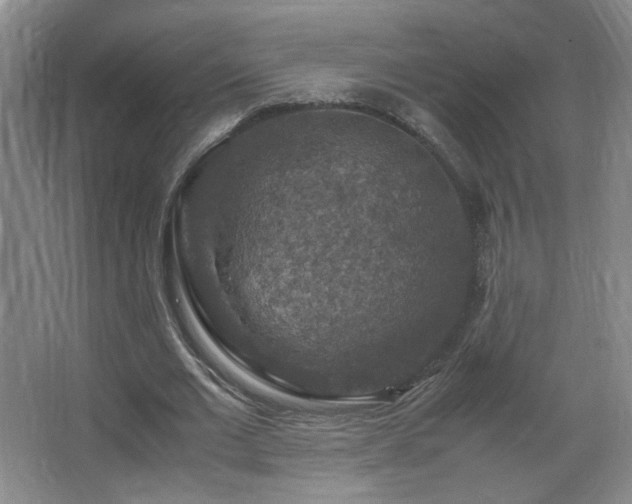 X0000067460677200604071129