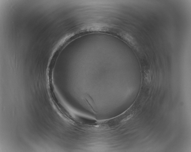 X0000067460678200604071129