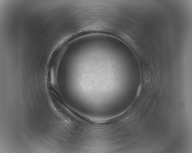 X0000067460680200604071129