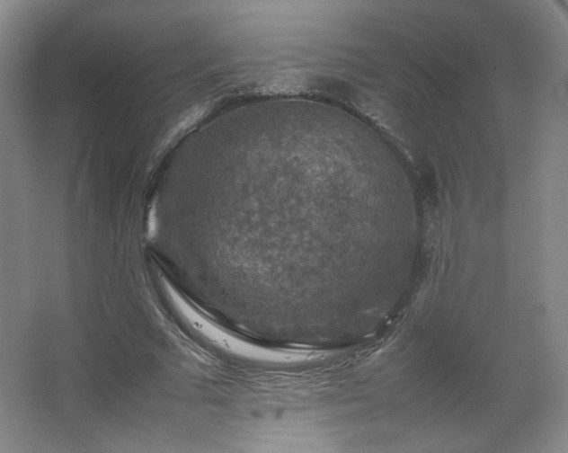 X0000067460681200604071129