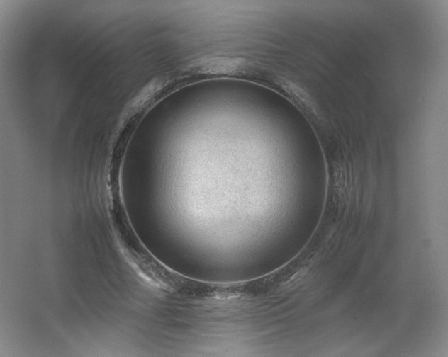 X0000067460682200604071129