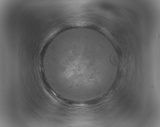 X0000067460683200604071129