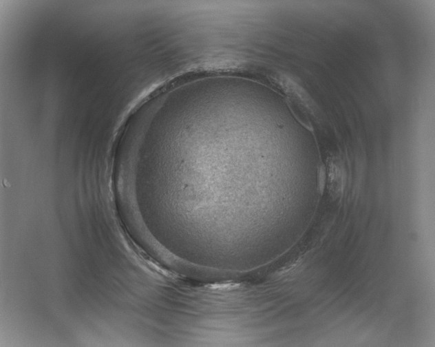 X0000067460684200604071129