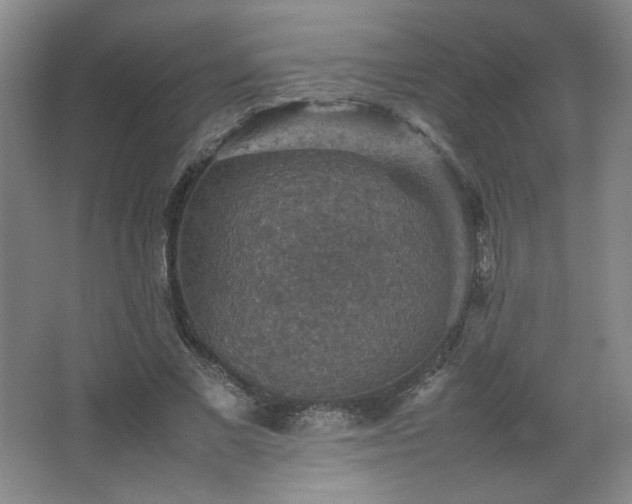 X0000067460685200604071128