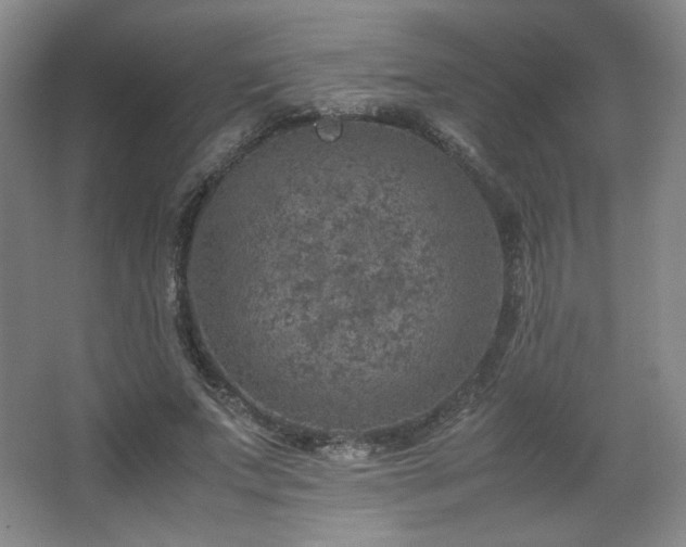 X0000067460687200604071128