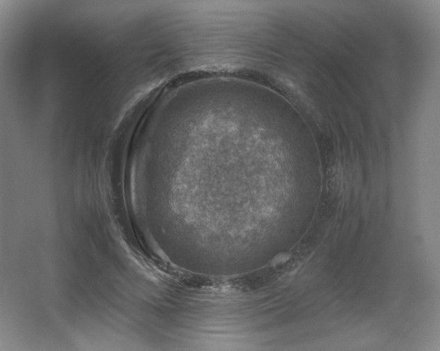 X0000067460688200604071128