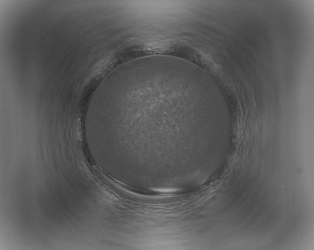 X0000067460689200604071128