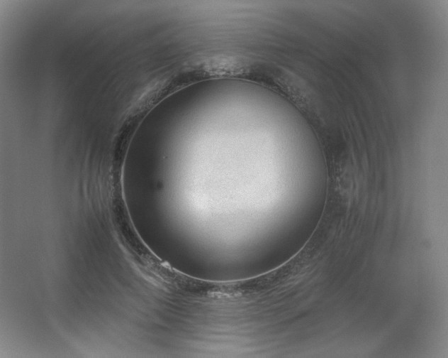 X0000067460690200604071128