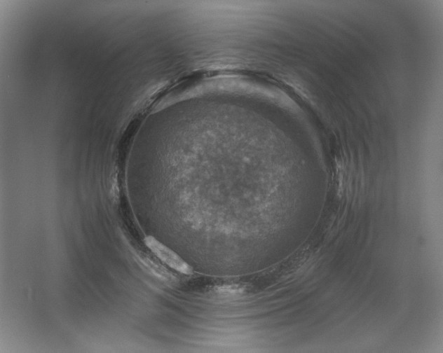 X0000067460692200604071128